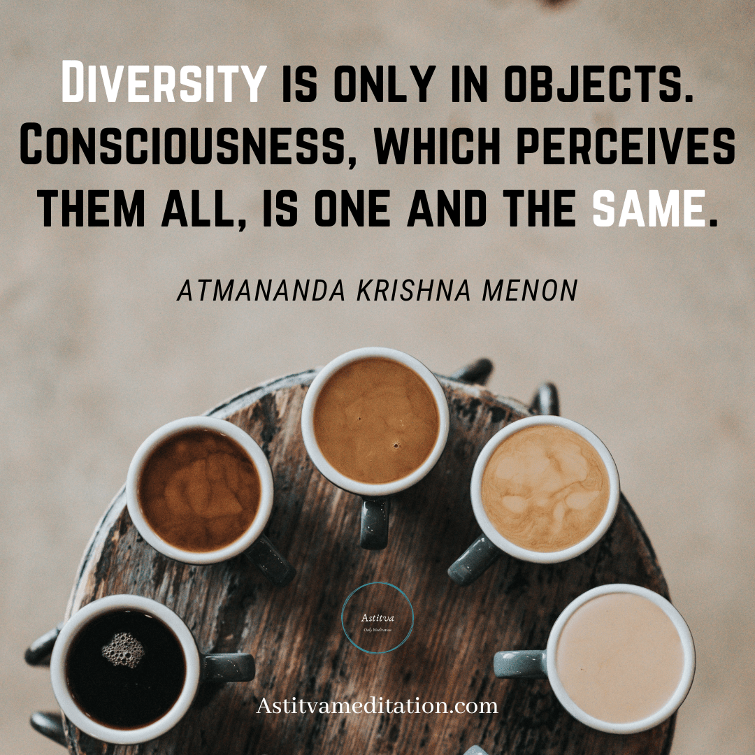 Diversity ~ Atmananda Krishna&nbsp;Menon
