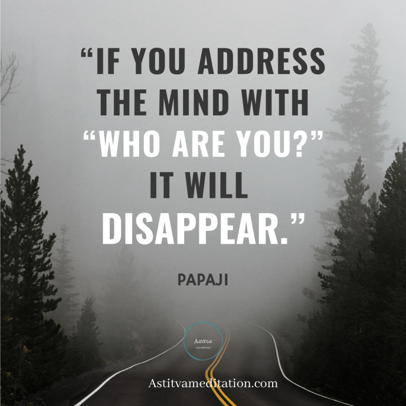 Who are you? ~&nbsp;Papaji