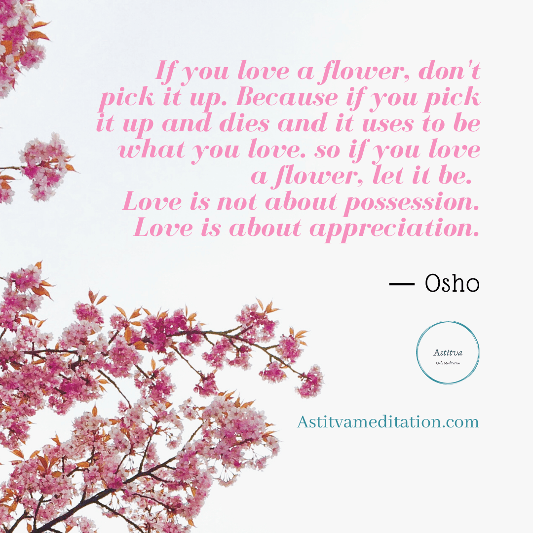 Love is about appreciation ~&nbsp;Osho