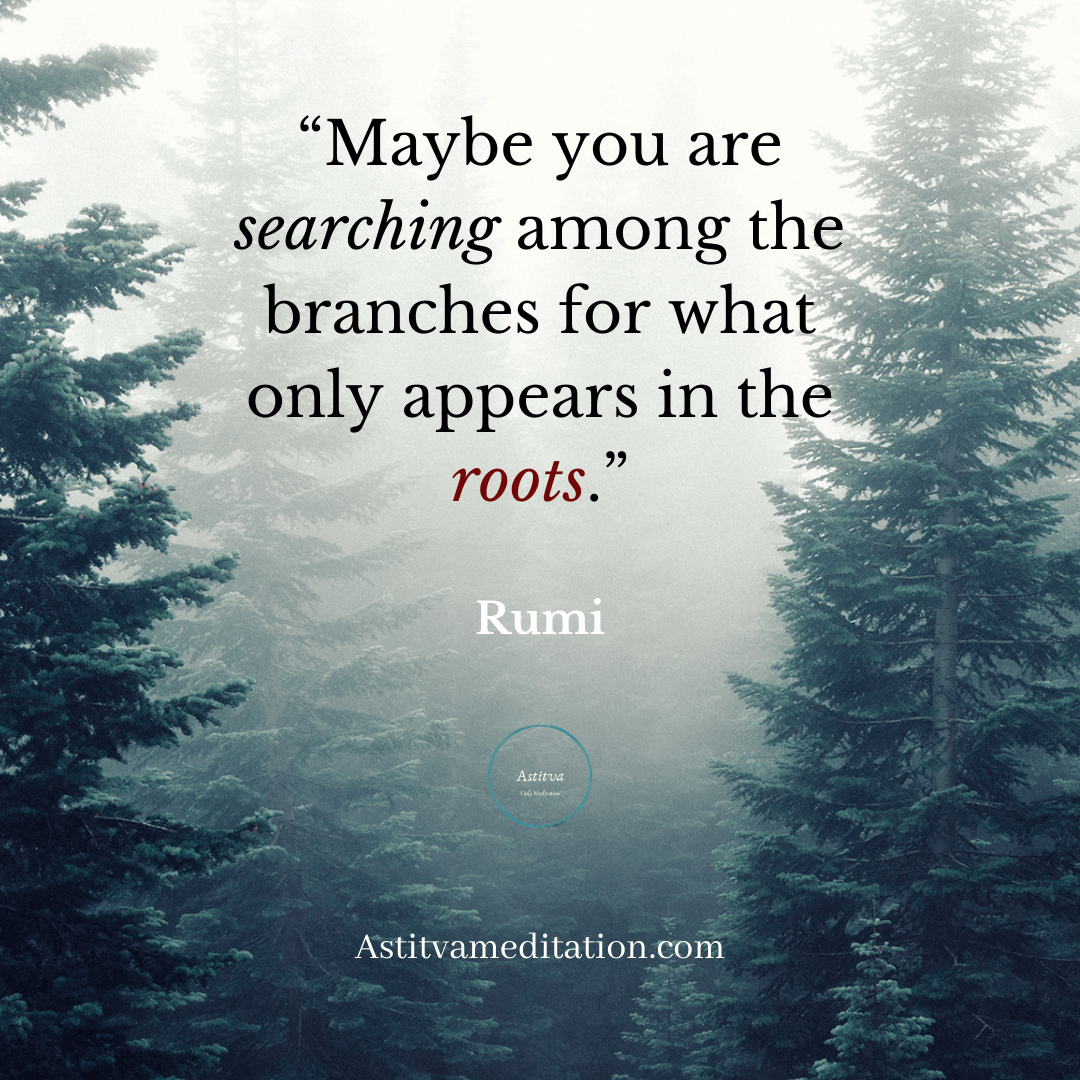 Roots ~ Rumi