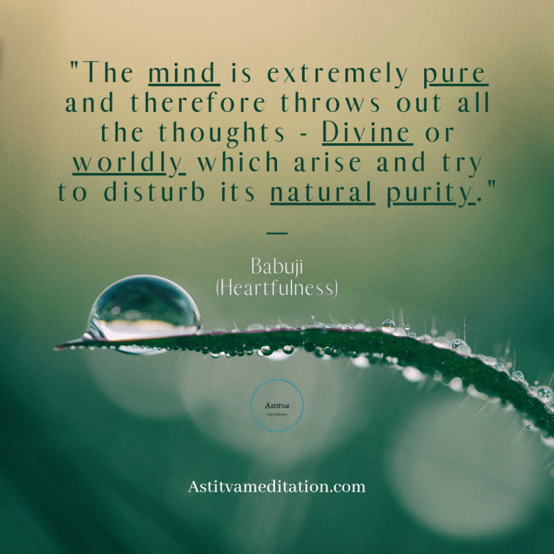 Natural Purity ~&nbsp;Babuji