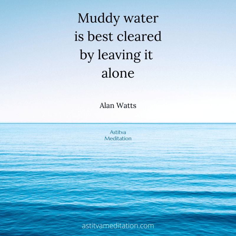 Muddy water is best cleared by leaving it alone ~ Alan&nbsp;Watts