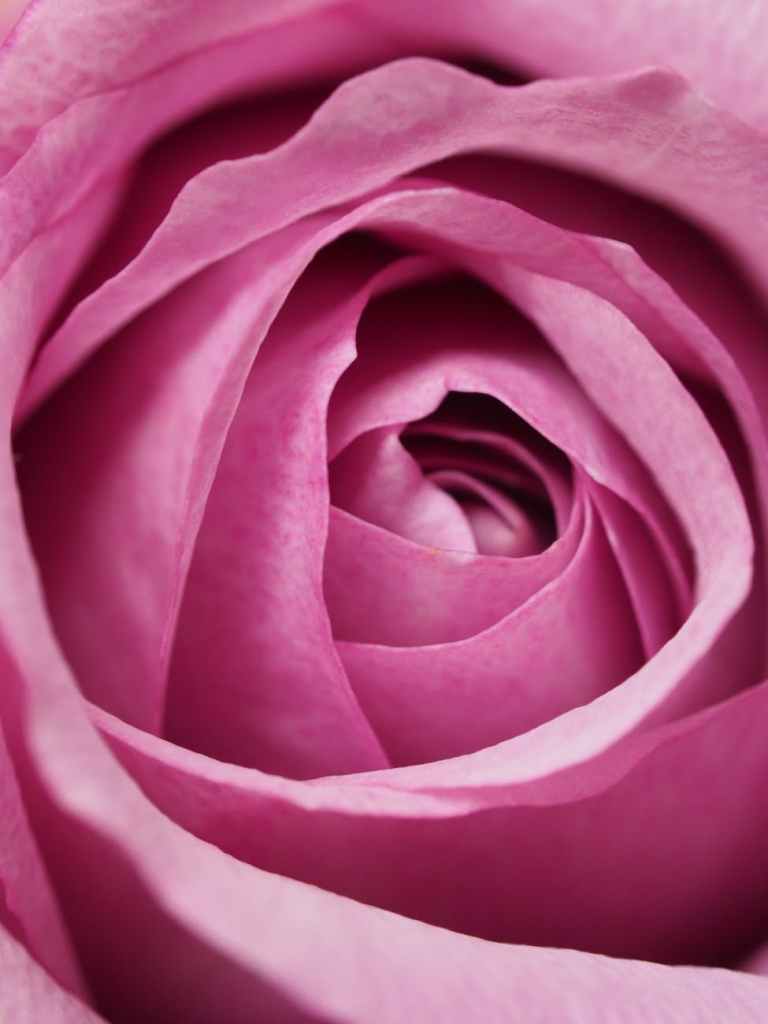Mystic Rose Meditation by&nbsp;Osho